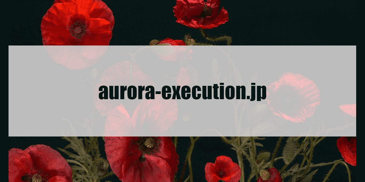 aurora-execution.jp